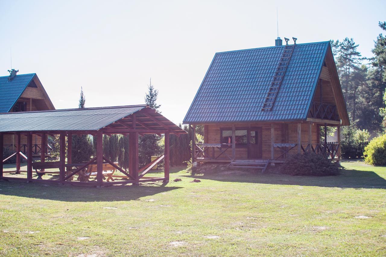 Villa Pas Kaziuka Namukas à Paluse Extérieur photo